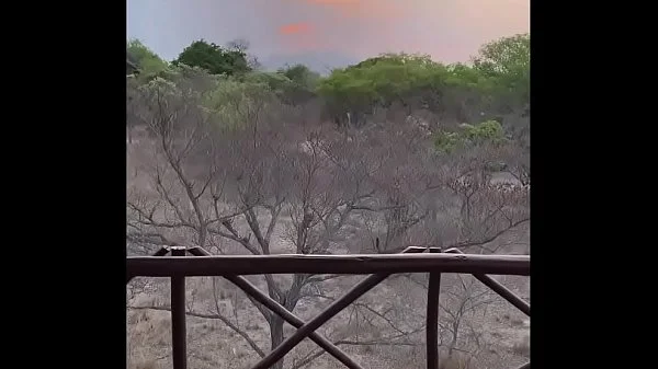 ANAL SEX WITH A BLOND TEEN IN SOUTH AFRICA VACANTION