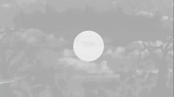 BANGBROS - Black Babe In Bikini, Sarai Minx, Fucked By Jonathan Jordan Poolside