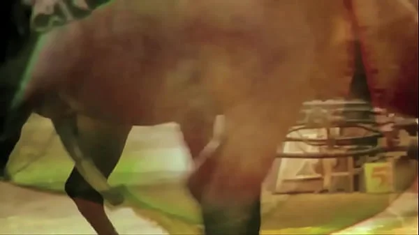 Vintage Taboo, Pussy & Pooch