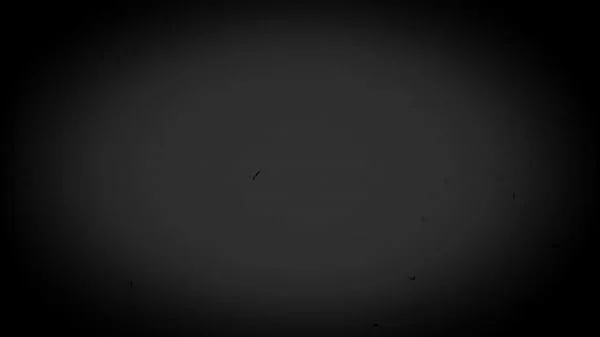 TUSHY Gorgeous duo Holly & Vanessa have hot anal threesome