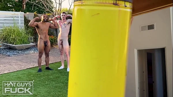 Have you ever thought about doing porn?