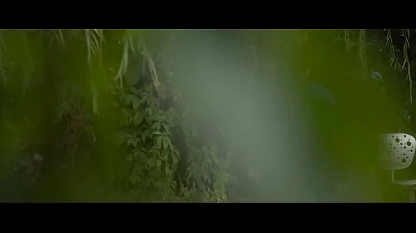 Public Bush Go Around