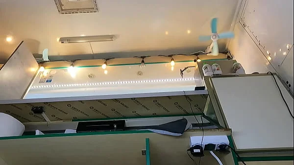 I love the way my sexy shop assistant moans when I play with her pussy at work