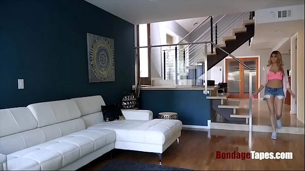 Human pets are so much better - Stephanie West