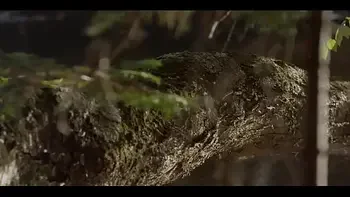 Alice in the attic (2017) - Levi Meaden & Karine Dashney [2]