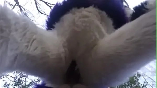 Fursuit Couple Mating in Woods