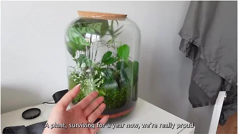 Luna Okko - Appartment Tour - Lunas Journey ( )