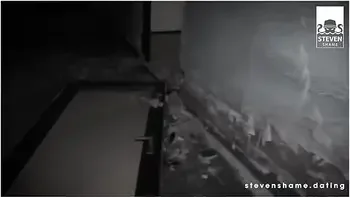 Four Filthy Sluts Get Their Pussies Stuffed By Random Men Dating - Steven Shame, Pornfighter Long John And Lana Vegas