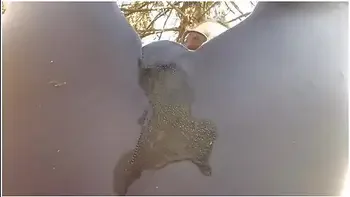 A Great Hot Wet Orgasm Inside Yoga Pants In A Public Outdoor Garden