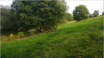 Love Being Fucked Outside And Gargling Cum