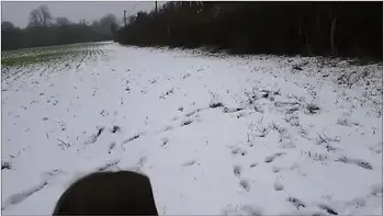 Snow Fuck & Cum Gargle