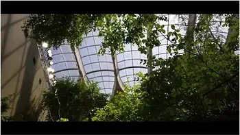 Weekly Vlog In Montreal - Lunas Journey (episode 37) With Luna Okko