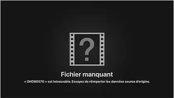 My Hankeystoys Collection