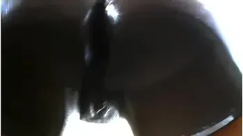 Pussy On Glass Table