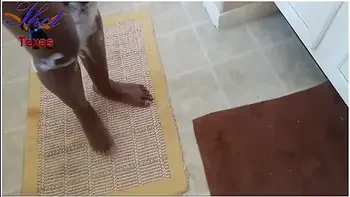 Thot In Texas - Interracial Sharing Ebony Wife Milf With Ltino Strangers Hot Pussy Fucking