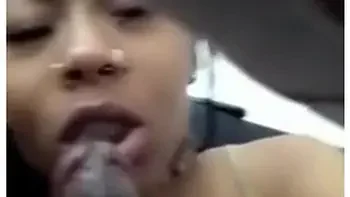 Car Head Houston Hoe