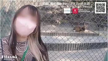En Date I Zoologisk Have Med En Amator Barmfagre Skonheder Vildt Instinkt Bar Sex Japansk Blowjob
