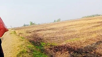 Desi Bhabhi RadhaDevi Pissing in Field Outdoor Hindi Webcam Masturbation