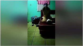 Best Free Homemade Porn On