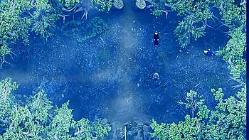 Lust Epidemic -pregnant Has Fun