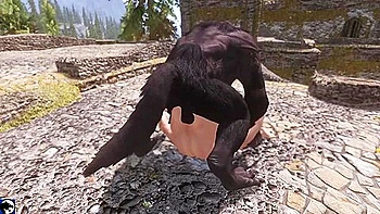 No Wolf Will Pass By