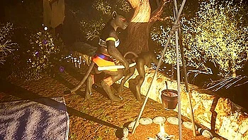 The Goddess And Her Angel