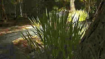 Laras Story - The Hathian Bat Cave (filmed In Crack Den) Preview Full Release By 10/2020