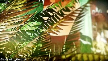 General Butch : Zelda