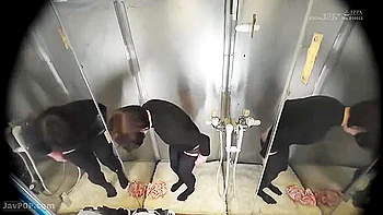 250517エロ系ギャルとツイスター堪能d4