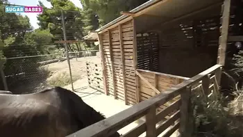 SUGRBABESTV : Fuck me like a HORSE