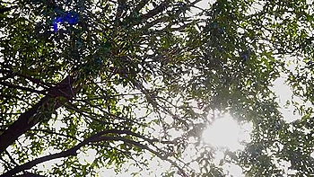 The Delivery/collection Lady Seduced Me At The Door And Gave Me A Spit-filled Handjob And A Deep Blowjob! 4 Hours