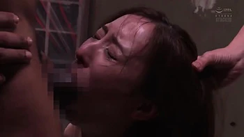 x1x5308997B84FC894043