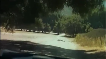 Selen - Selvaggia (1)