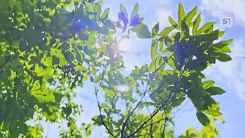 BPKMULWFKKOFXPJDHX52SONE911