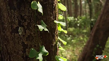 D&d Porn Adventure Three - Gap Of Magnificence (sweetie Fox, Diana Rider, Arina Fox