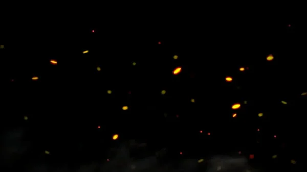 Toilet Slave Drinks All Piss Of Dominant Petite Girl Kira - Piss Drinking Femdom