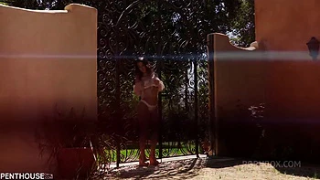 Pet of the Month December 2017