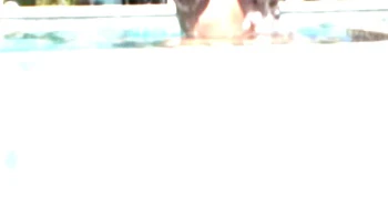 Brooke Banner Has Big Natural Tits