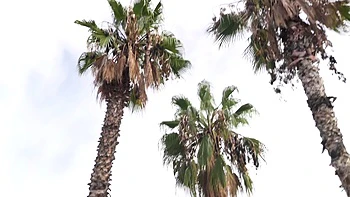 The greedy Katy is spoiled! - Jacquie et Michel TV