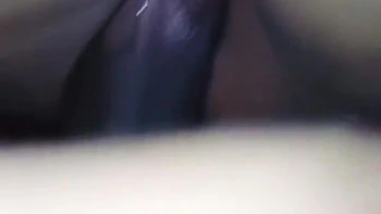 Desi Home Maid Wife Fuck