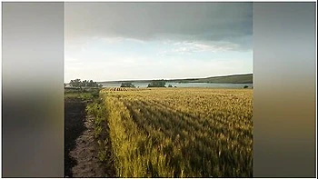 Sensual Blowjob In Public With Double Rainbow In Background!