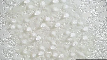 Guy wakes big tits stepmommy with his dong