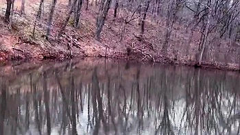 Natural Amateur blowjob outdoors exposed