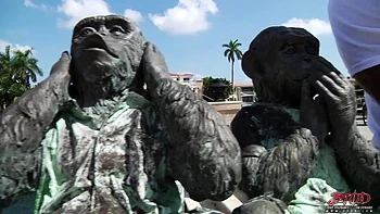 Veronica 2: Blowjob, Doggy  Cowgirl Porn