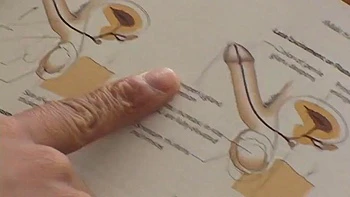 Double Penetration: Blowjob, Doggy  Cowgirl Porn