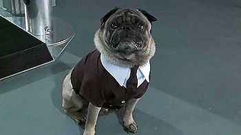 B1ac K - Porn Parody