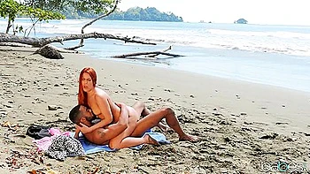 Stallions Coastal Heat Sparks Intense Sensual Desire