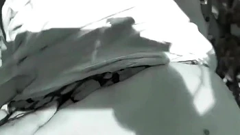 Taking Me To The Forest, She Said, Fuck Me, Rajaji, I Am Feeling Very