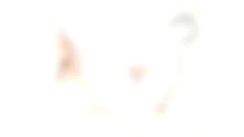 Nicole Black lesson number 8, 10on1 DAP Gangband Balls Deep Anal