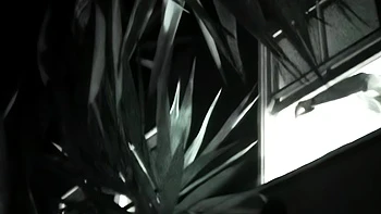 Hot amateur teen blowjob and facial HD video